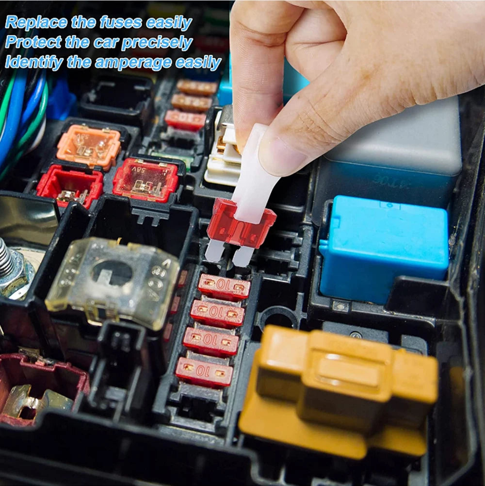Standard Car Fuses RH100 2A Premium Quality Replacement Accessory