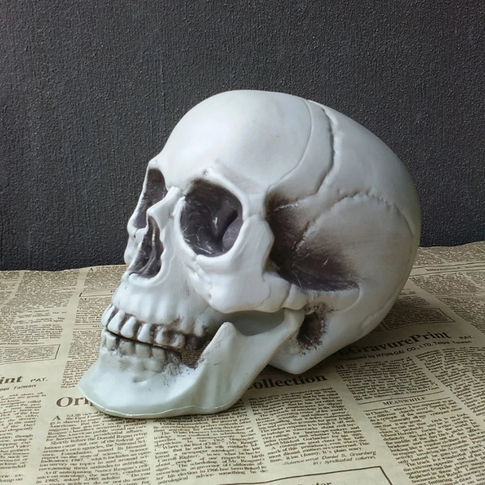 Halloween Skull Decoration Realistic Plastic Skull Head Skeleton Decor