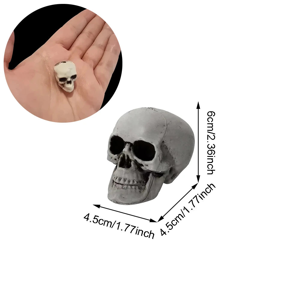 Halloween Skull Decoration Realistic Plastic Skull Head Skeleton Decor