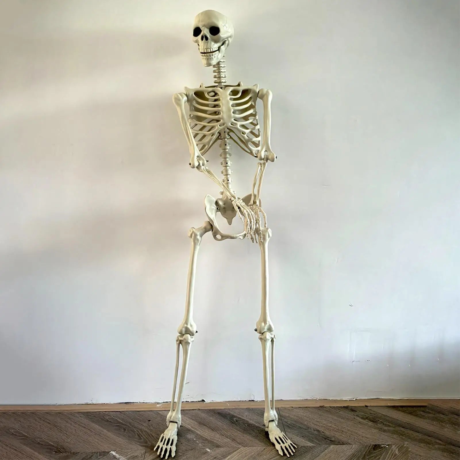 Halloween Realistic Body Bones with Posable Joints  Skull Ornament 35.4"