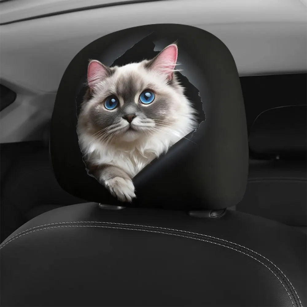 Cute Ragdoll Cat Covers 2 Premium Quality Replacement Accessory