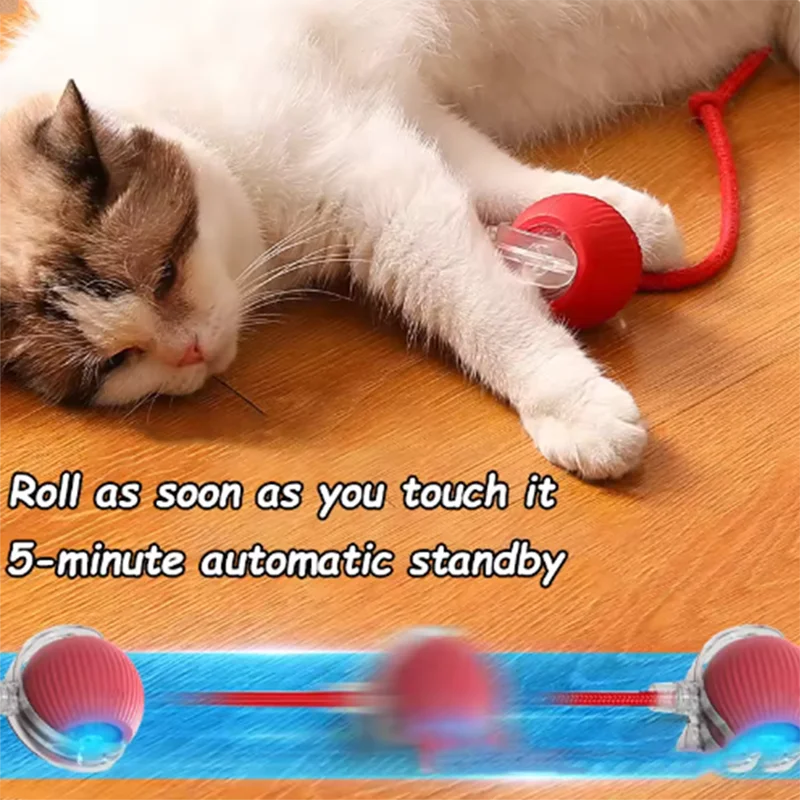 Cat Chaser Toy teasing balls Premium Quality Replacement Accessory