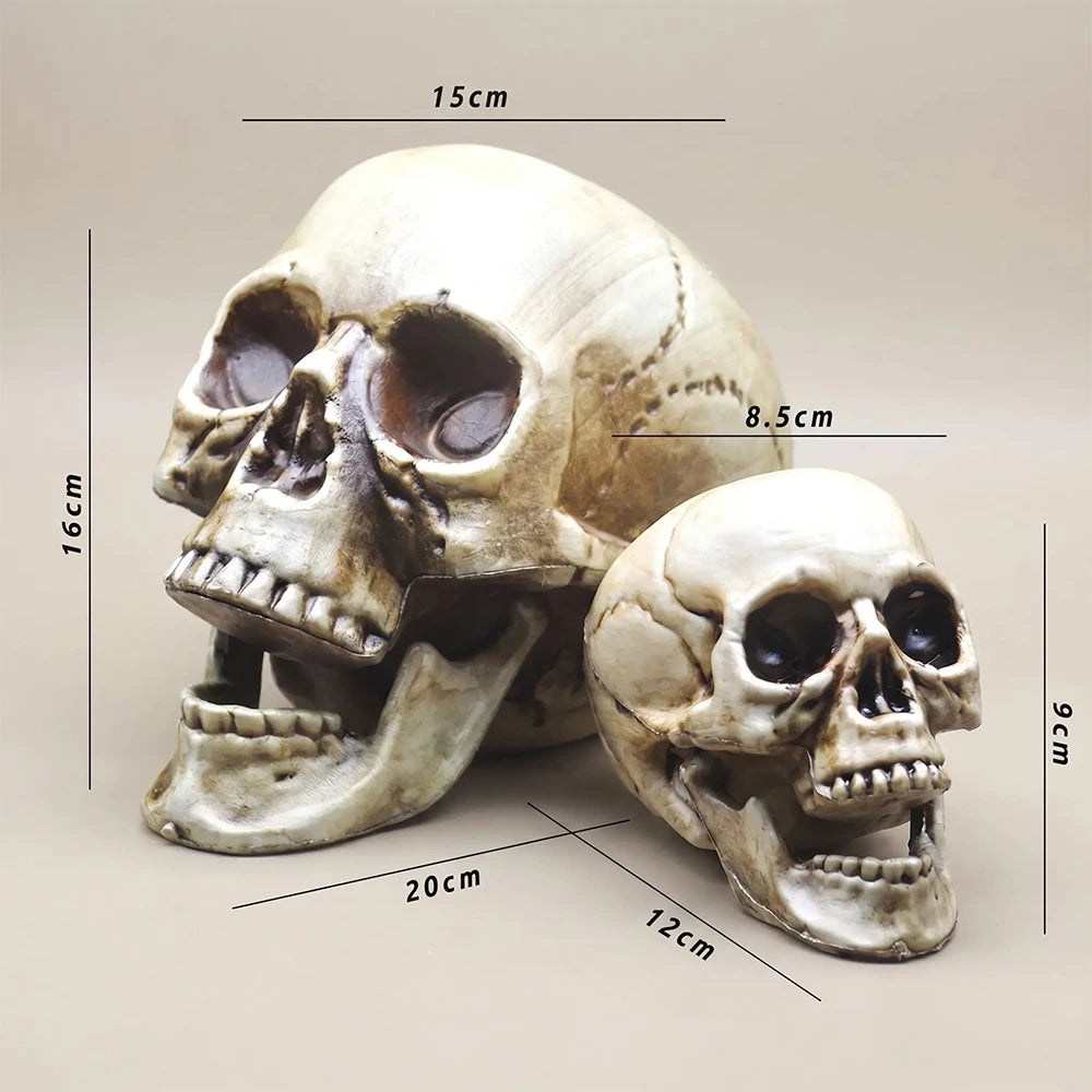 Plastic Skull Head Realistic Skull Skeleton Head for Halloween Party Home Garden Lawn Decor Haunted House Horror Decoratio Props