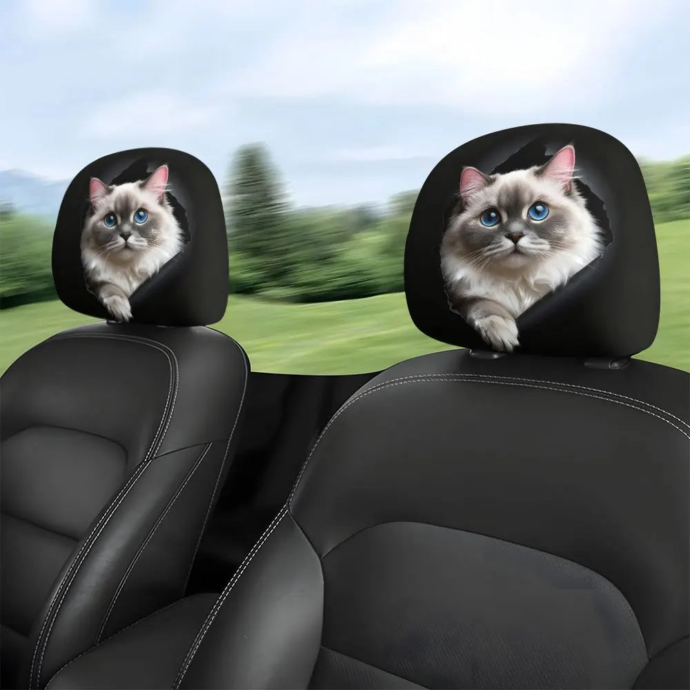 Cute Ragdoll Cat Covers 2 Premium Quality Replacement Accessory
