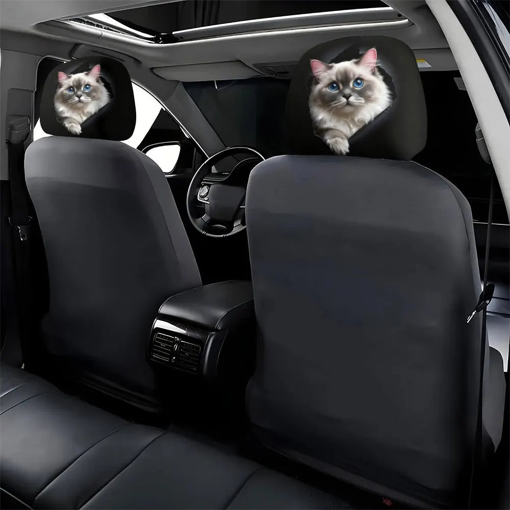 Cute Ragdoll Cat Covers 2 Premium Quality Replacement Accessory