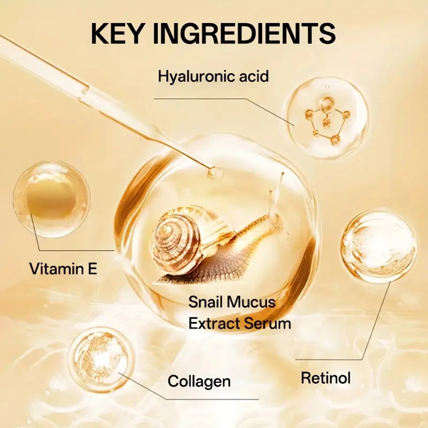 Snail Hydration Cream 50g - Plant Collagen & Vitamin E, Lightweight Glow  Non-Sticky All Day