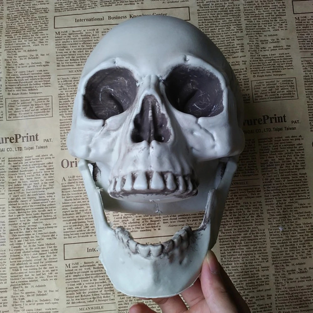 Halloween Skull Decoration Realistic Plastic Skull Head Skeleton Decor