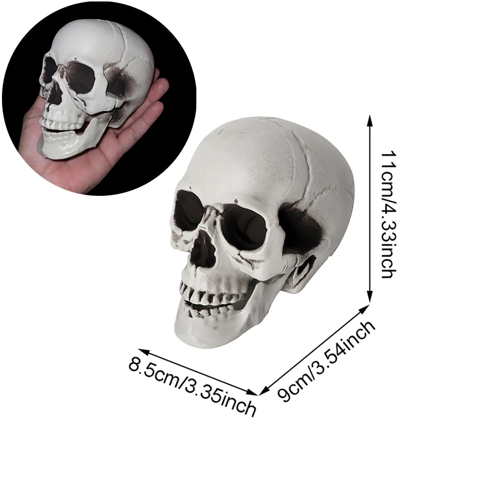 Halloween Skull Decoration Realistic Plastic Skull Head Skeleton Decor