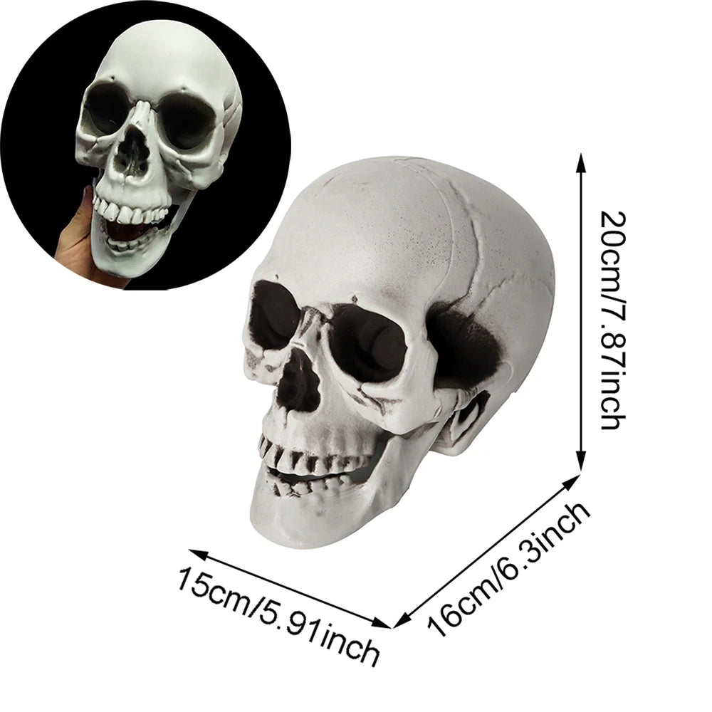 Halloween Skull Decoration Realistic Plastic Skull Head Skeleton Decor