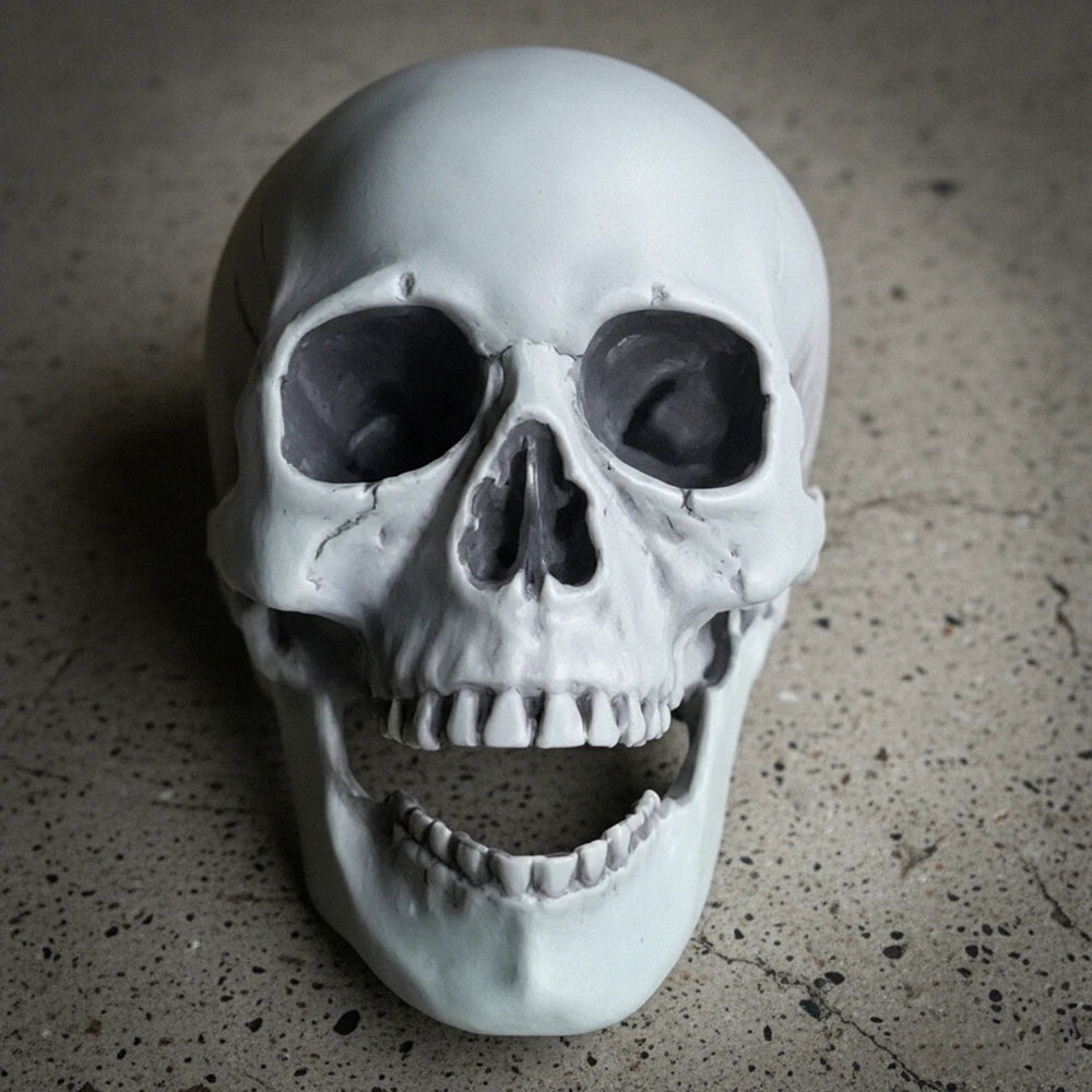Plastic Skull Head Realistic Skull Skeleton Head for Halloween Party Home Garden Lawn Decor Haunted House Horror Decoratio Props