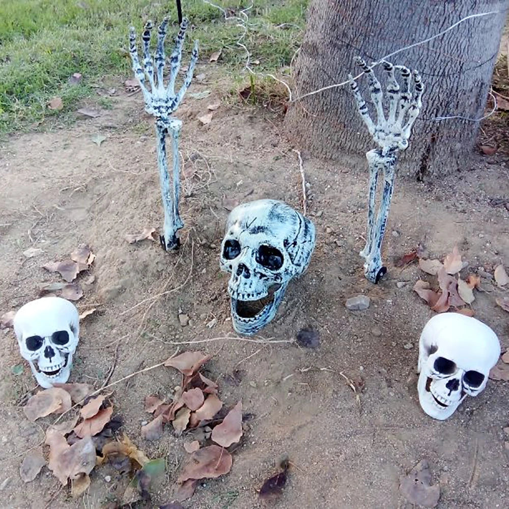 Halloween Skull Decoration Realistic Plastic Skull Head Skeleton Decor